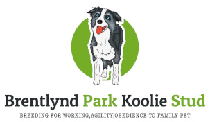 Brentlynd Park Koolie Stud - Gold Sponsor Eudunda Show 2022