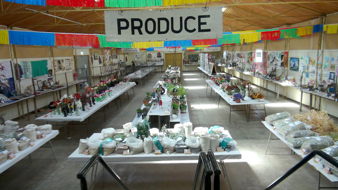 Record Pavilion Entries for 2024 - Photo from the Stage with the Wool section behind