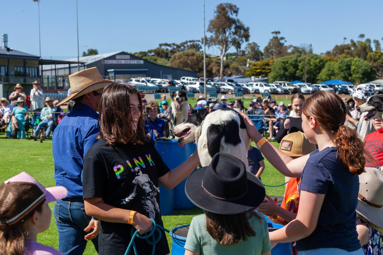 Tom Curtain Show - petting dogs