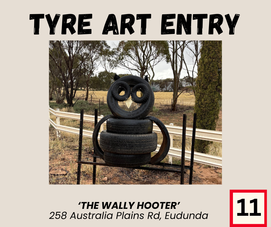 Eudunda Show 2025 - SSkids Tyre Art Entry 11