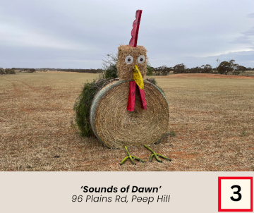 Eudunda Show 2024 Hay Bale Art Competition Entry 3 - Sounds of Dawn