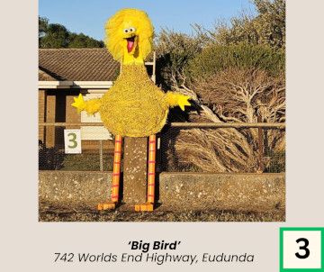 Eudunda Show 2024 Scarecrow Competition Entry 3 - Big Bird