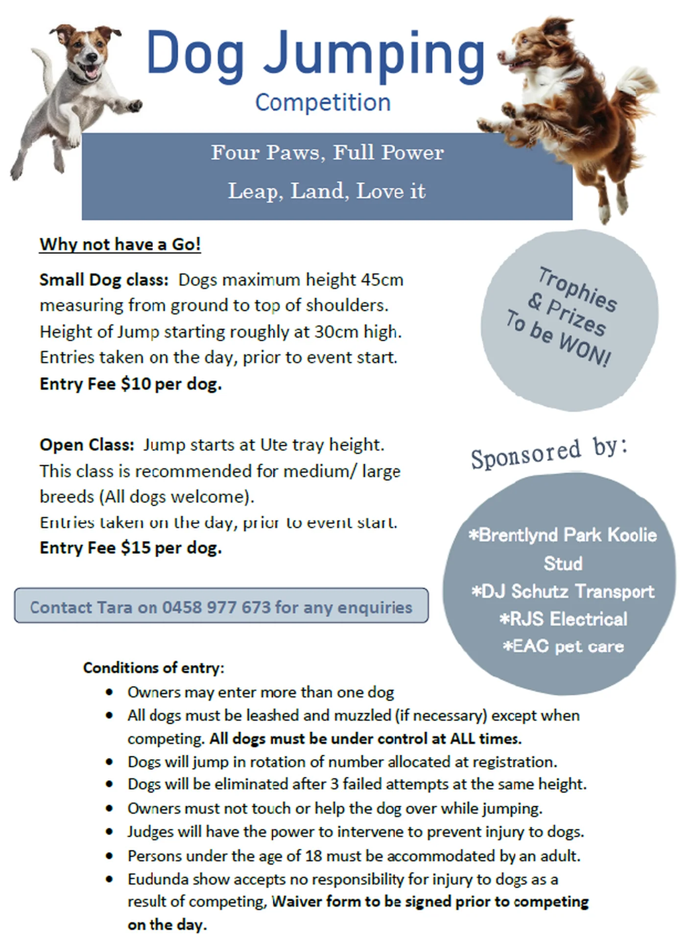 Eudunda Show 2026 - Dog Jumping Competition