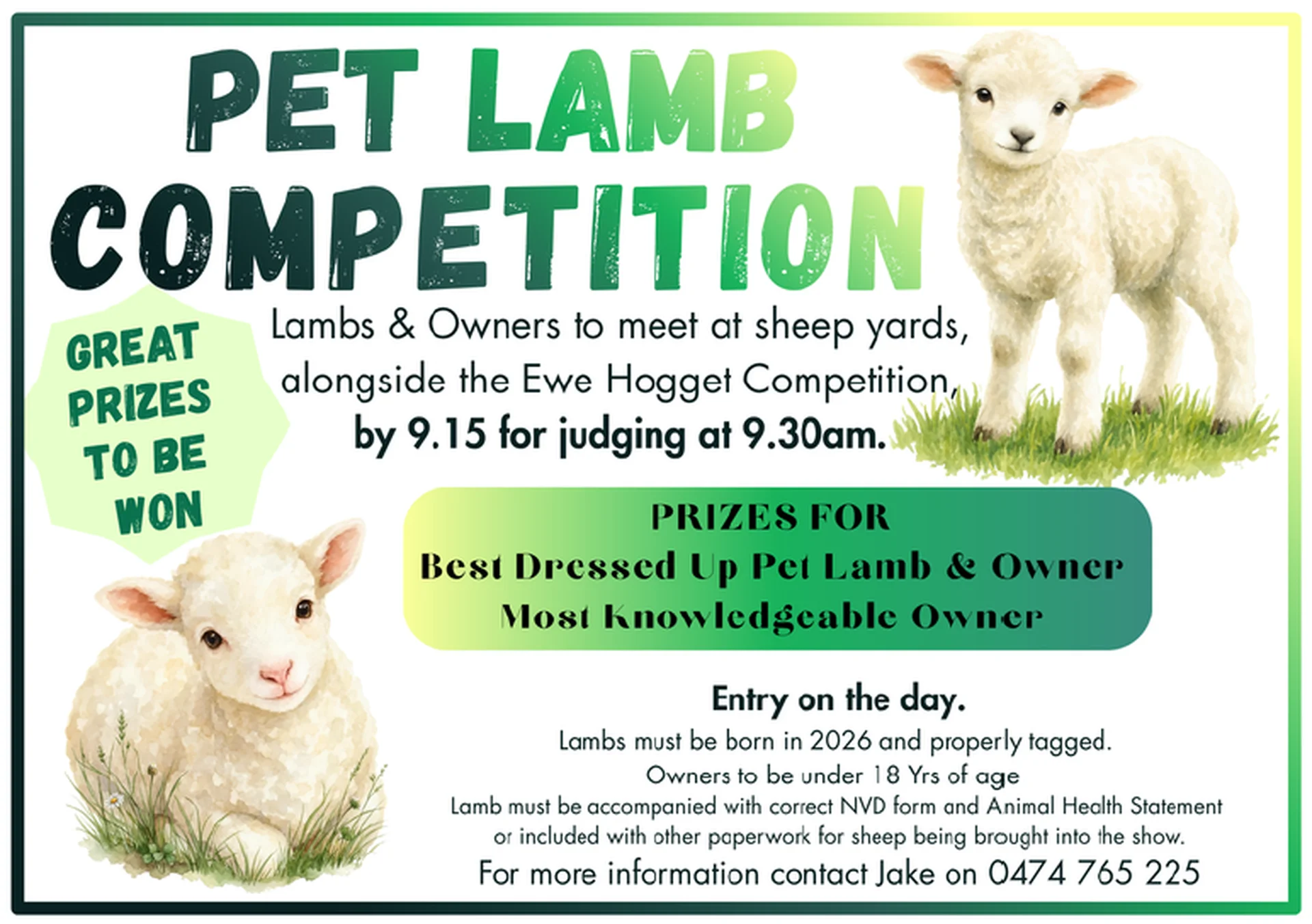 Eudunda Show 2026 - Pet Lamb Competition