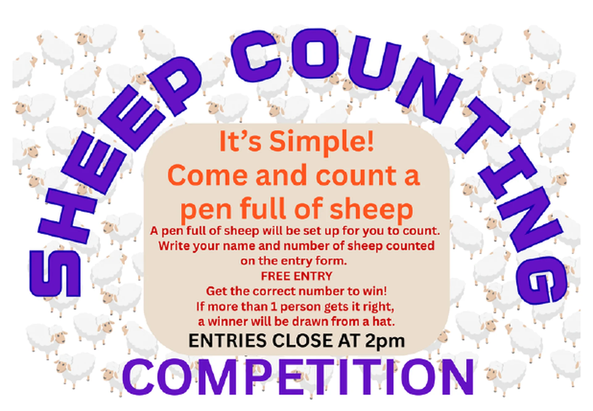 Eudunda Show 2026 - Sheep Counting Competition